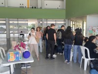 evropaiki_mera_glosson_13