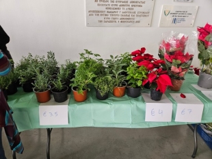 2025 12 03 Evdomada Dentrou.jpg