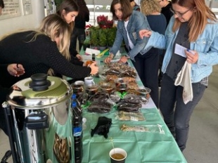 2025 12 03 Evdomada Dentrou 8.jpg